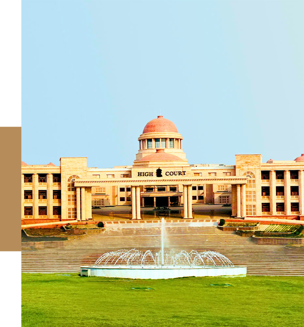 About Democrat Legal & Partners